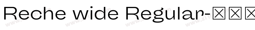 Reche wide Regular字体转换 Reche wide Regular字体转换